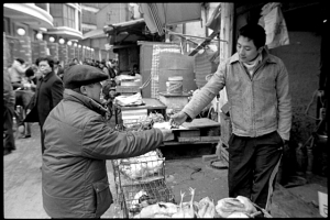 Shanghai in Winter VII (上海冬天) Shanghai in Winter VII (上海冬天)