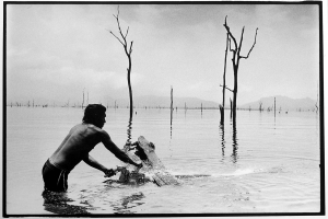 Underwater logging in Panama